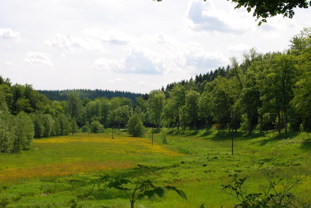 Отель Wildenburger Hof Friesenhagen Экстерьер фото