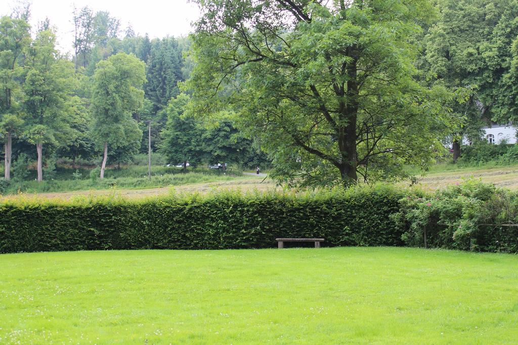 Отель Wildenburger Hof Friesenhagen Экстерьер фото